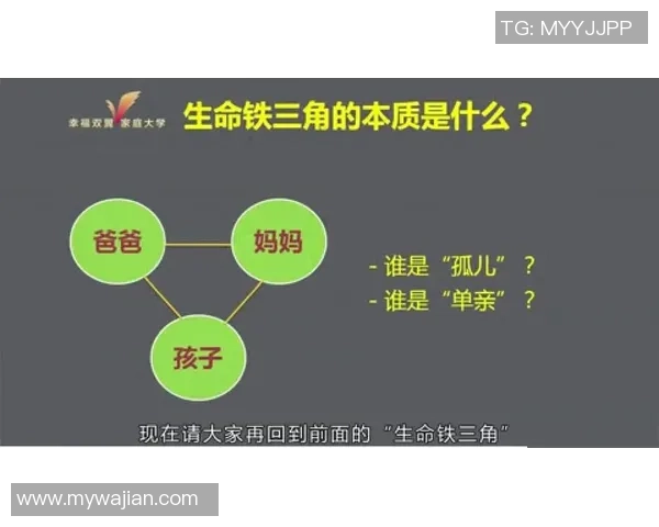 李秀英的排球人生：从赛场到心灵的成长与坚持