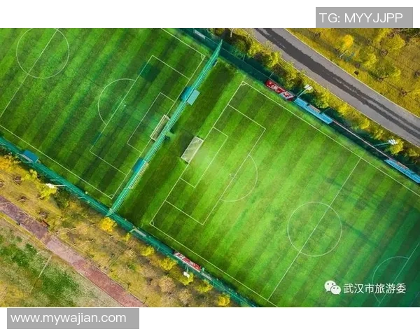 武汉极限运动队以85分领跑极限运动会积分榜展现强劲实力